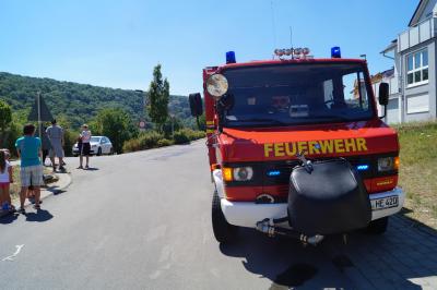 Zuendelnde Kinder loesen Flaechenbrand in Hessigheim aus